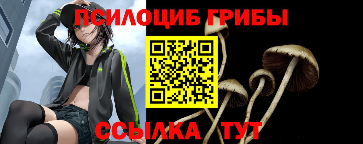 Галлюциногенные грибы Magic Shrooms Луховицы